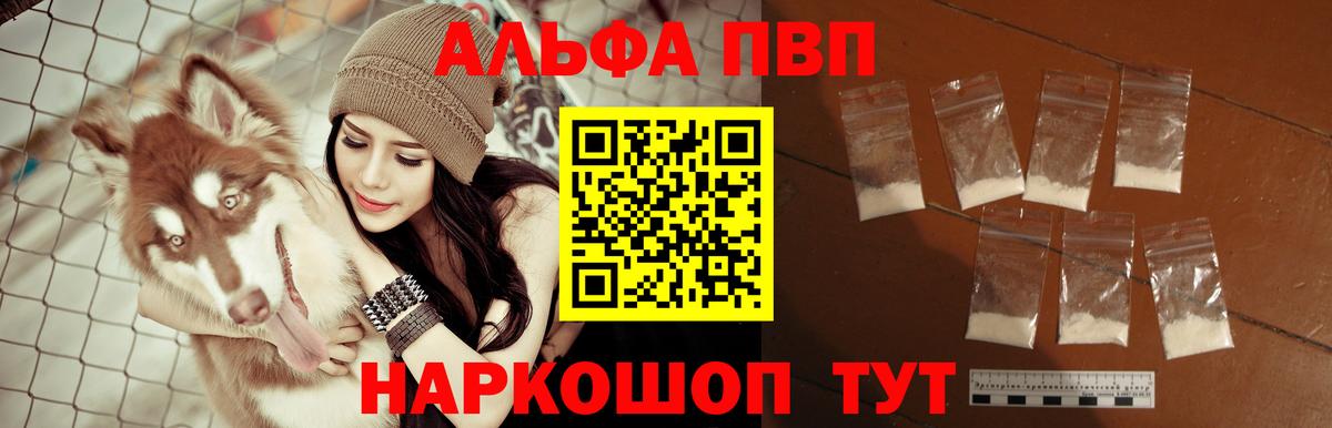 A PVP СК Гусиноозёрск