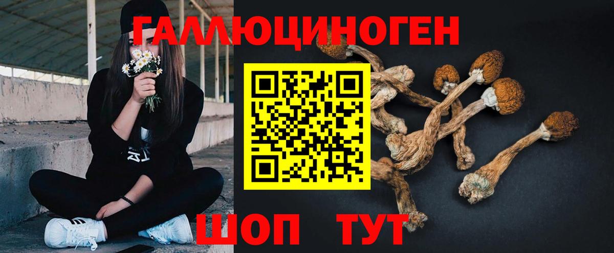 Псилоцибиновые грибы прущие грибы  Вход с VPN  Галлюциногенные грибы Psilocybe  Гусиноозёрск 